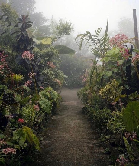 Depeche Ho pornographic actress photos