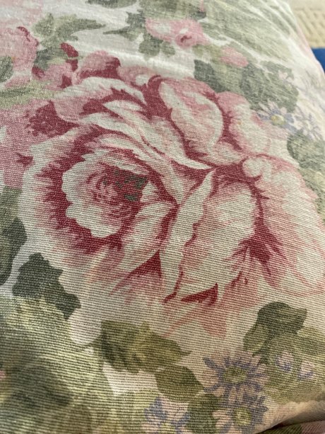 u25483124 star art gallery