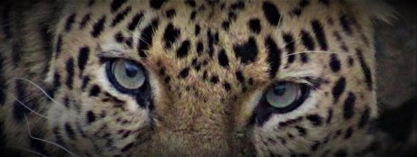 _Pumpkin Cream_ sex pornstar pics