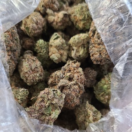 Crunchtyme Ent_ pornstar nice pic