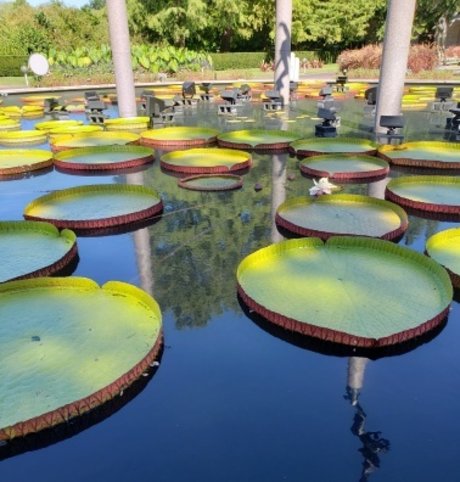 PuckDaddy model free photos