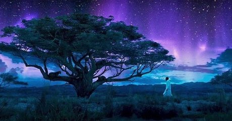 PrynceCharmingg pornstar adult photo