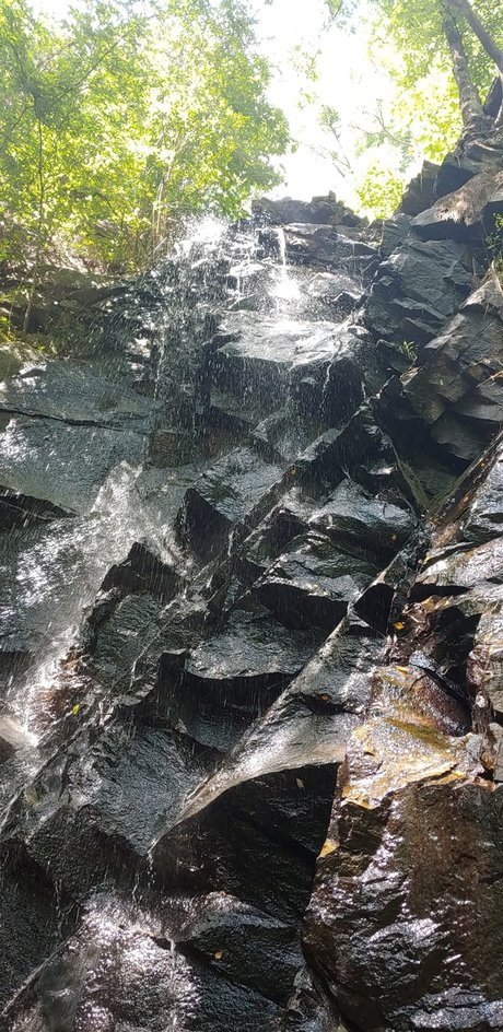 Prince Vegeta nudes pornstar pics