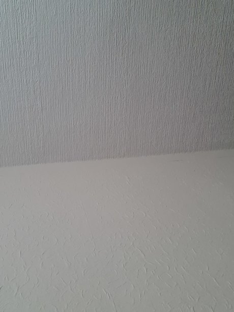 Spicy one star erotic galleries