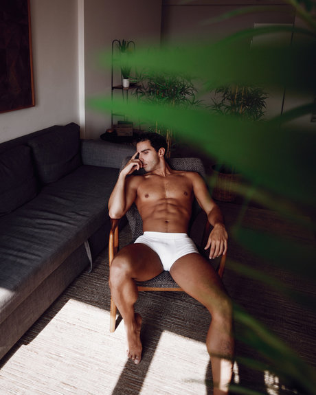 ScorpionAngel star adult image