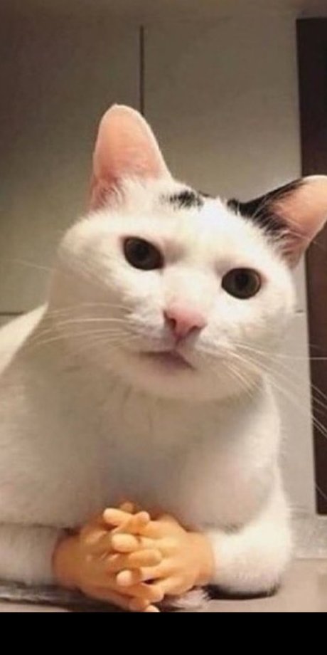 Valenz star porn pictures