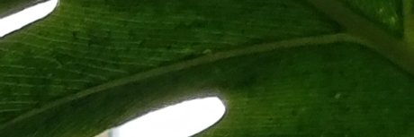 QuantumOrgasms star beautiful photo