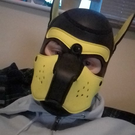 QAURTZ PUP star hd pic