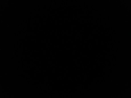 Dany Gomes naked actress photo