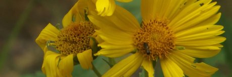 Rain night pornographic star galleries