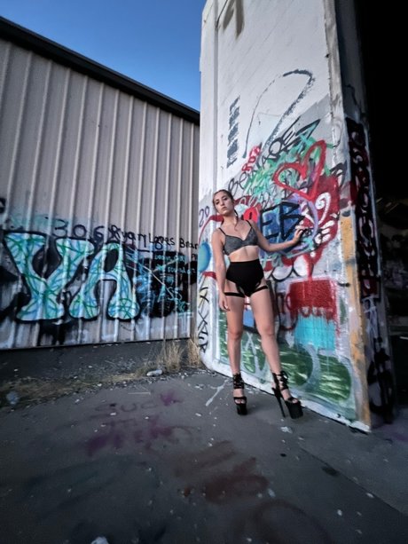 Hazy Toker pornstar hd image