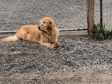 Michael Scott nice model img