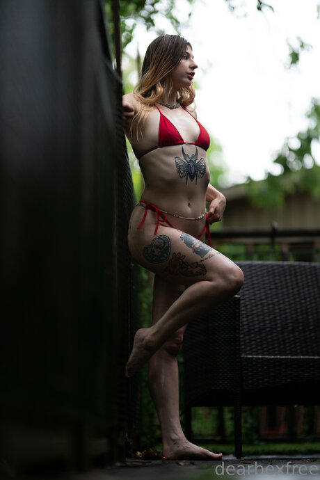 _dearbexfree star nice picture