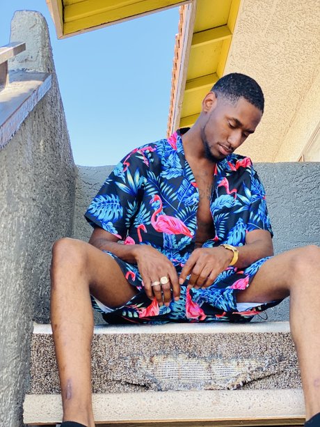 Donn Purkle pornstar hd archive