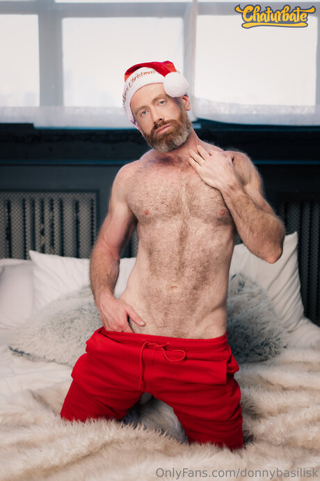 DonnyBasilisk exclusive model images