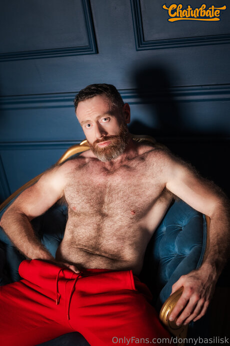 DonnyBasilisk star exclusive photo