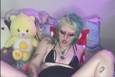 bug_ best model galleries