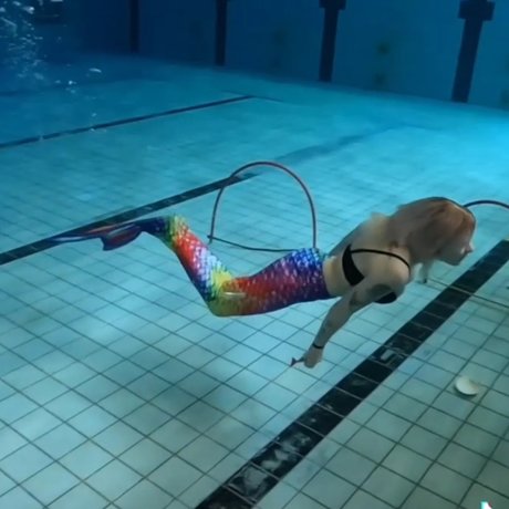 RainbowRoos star top img