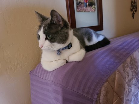 EdenEspi pornstar xxx images