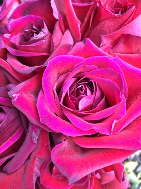 Kay Mella sex star img