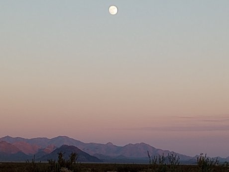 DivineMissAo star sex pictures