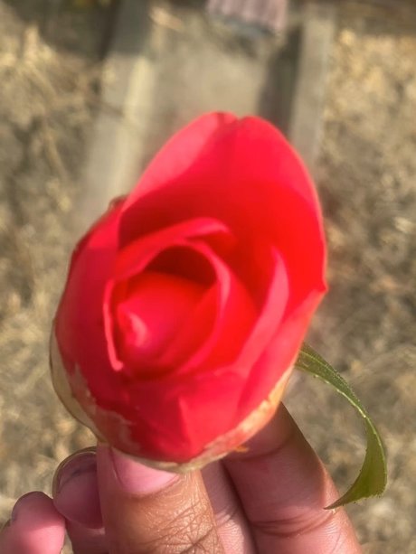 Milkkkkkmarie_ top star pics