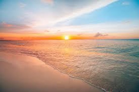 What The Feet_ sex pornstar archive