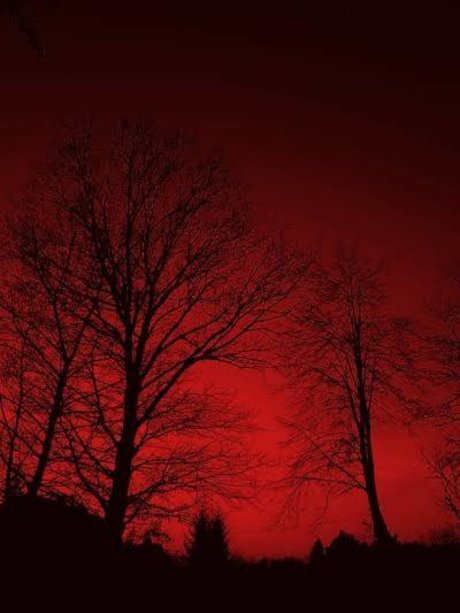 Exclusive K star exclusive pictures