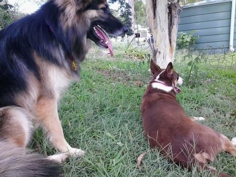 Kairu xxx star pictures