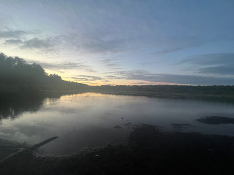 goth trans onlyfans adult pics