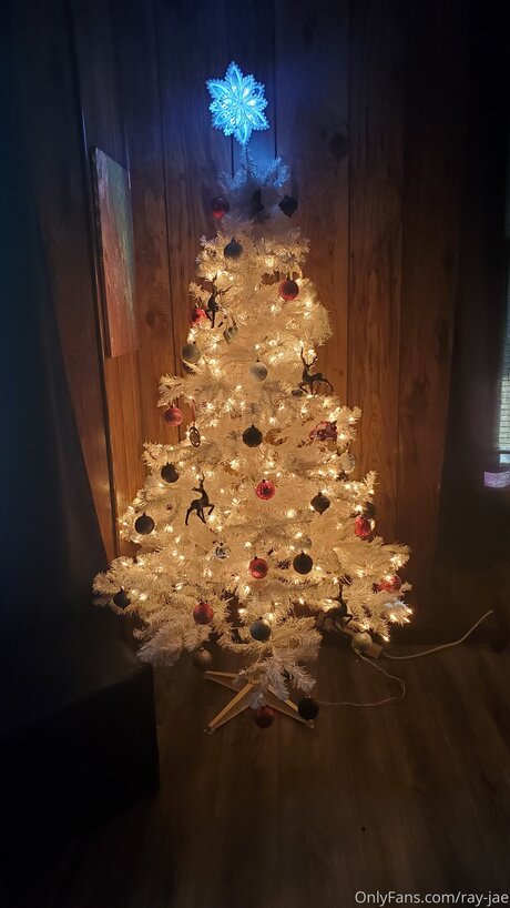 Ray Jae pornstar nude pictures