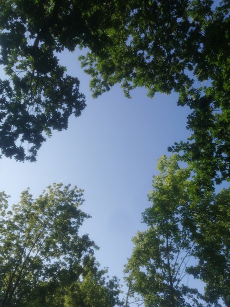 Ravenica exclusive actress image