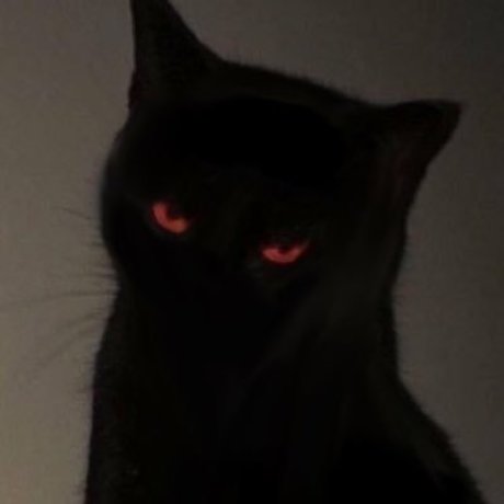 kathy top model photo