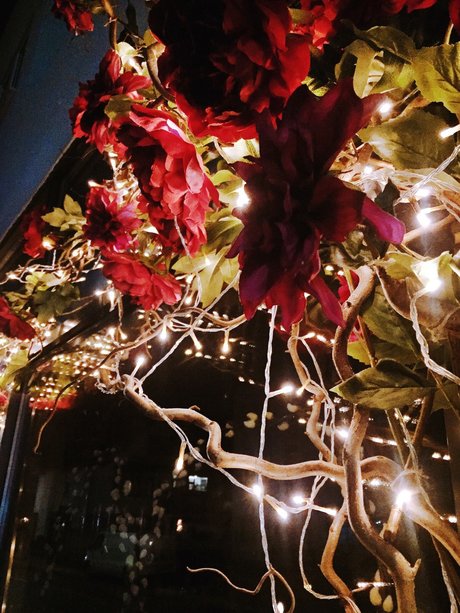 Raptor toes top actress pic