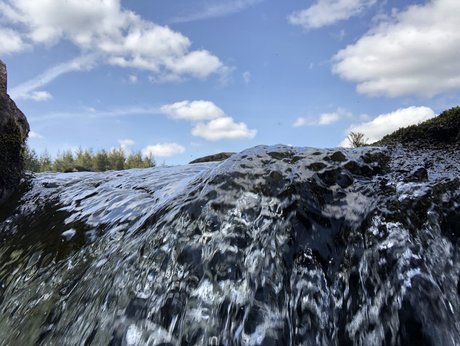 Rich Rowe model erotic img