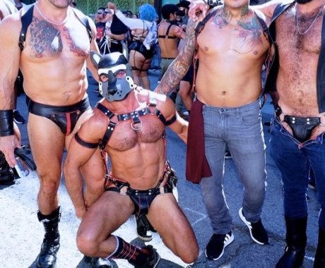 Rhys Dylan hot star archive