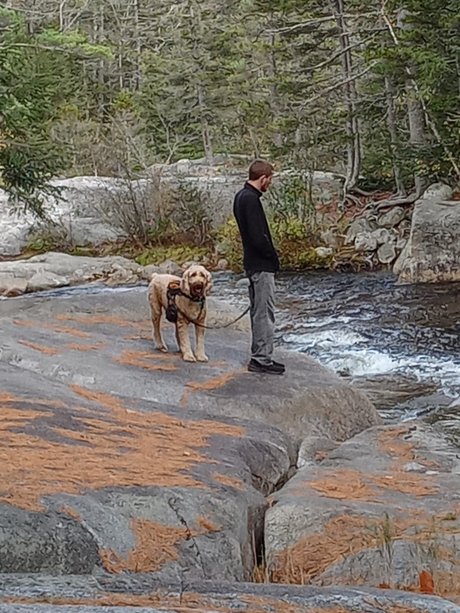 Rhemm nice actress pictures