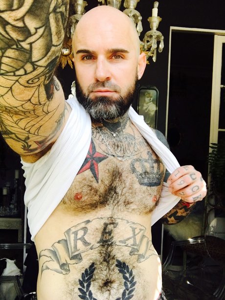 REX beautiful star gallery