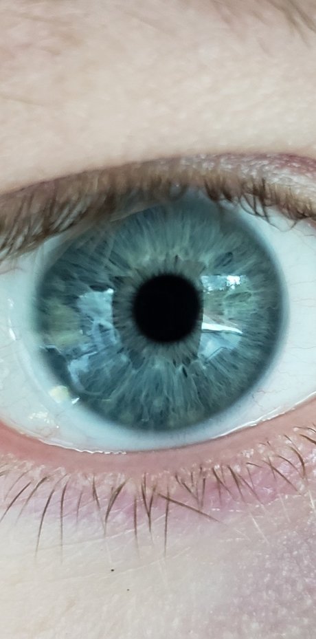 Remotedick xxx star porn image