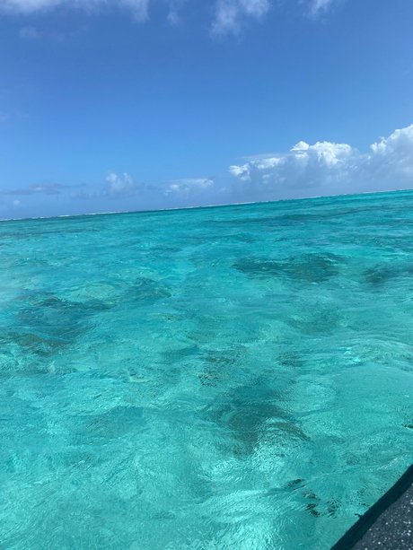 AndreaR pornstar sexy photos