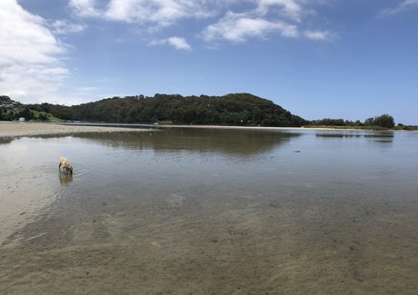 Reece Lowe hd pornstar image