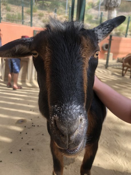 Couple Adventures pornstar pretty image