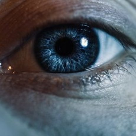 Roman Gutikov model free photo