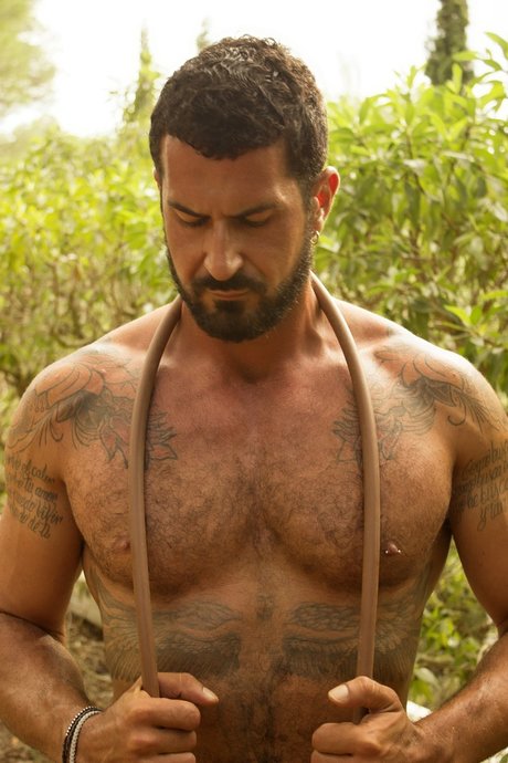 RocVent pornstar perfect gallery