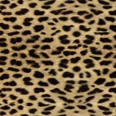 Rock Bitch pretty model photo