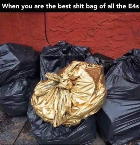 DOMINIO_ pornographic star image