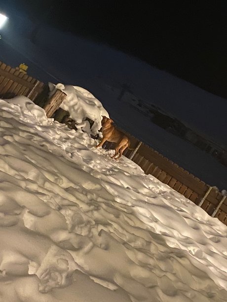 Riiim6 erotic star pictures