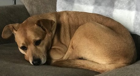 prone onlyfans nudes image