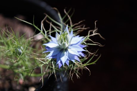 Rude model nude gallery