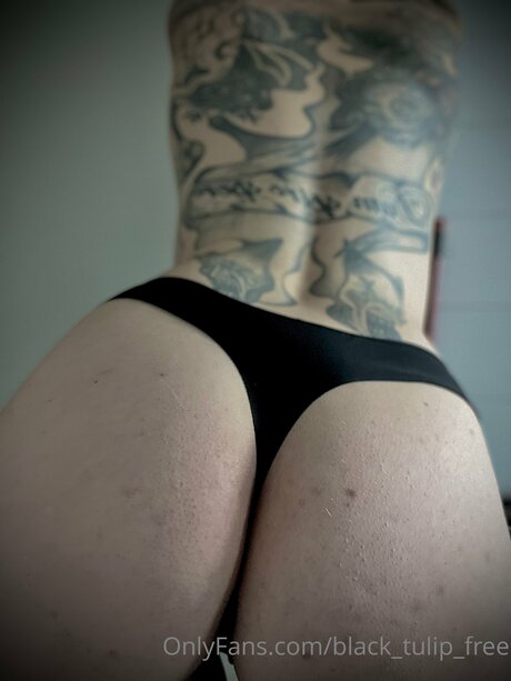 rubber tulip nude pornstar galleries